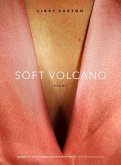 Soft Volcano (eBook, ePUB)