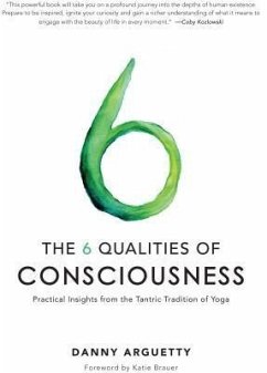The 6 Qualities of Consciousness (eBook, ePUB) - Arguetty, Danny