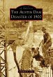 Austin Dam Disaster of 1900 (eBook,... - Bild 1