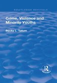 Crime, Violence and Minority Youths (eBook, ePUB)