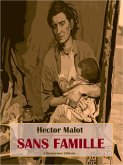 Sans famille (eBook, ePUB)