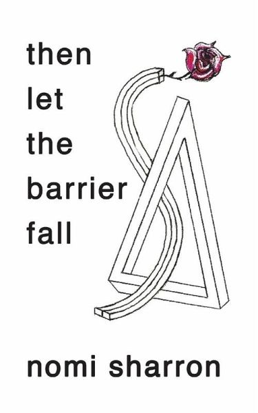 then let the barrier fall (eBook, ePUB)