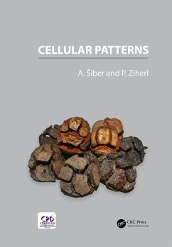 Cellular Patterns (eBook, ePUB) - Siber, Antonio; Ziherl, Primoz