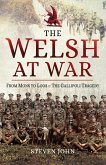 The Welsh at War: From Mons to Loos & the Gallipoli Tragedy (eBook, ePUB)