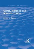 Crime, Violence and Minority Youths (eBook, PDF)