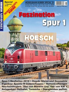 Faszination Spur 1 - Teil 7