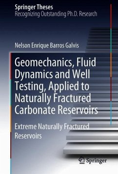 Geomechanics, Fluid Dynamics and Well Testing, Applied to Naturally Fractured Carbonate Reservoirs - Barros Galvis, Nelson Enrique