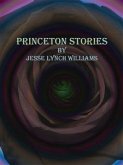 Princeton Stories (eBook, ePUB)