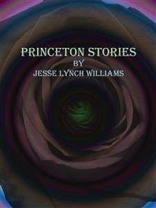 Princeton Stories (eBook, ePUB) - Lynch Williams, Jesse