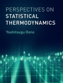 Perspectives on Statistical Thermodynamics (eBook, PDF)