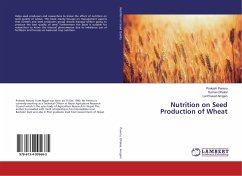 Nutrition on Seed Production of Wheat - Paneru, Prakash;Dhakal, Suman;Amgain, Lal Prasad