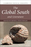 Global South and Literature (eBook, PDF)