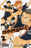 Furudate, H: Haikyu!!