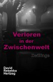 Verloren in der Zwischenwelt (eBook, ePUB)