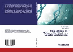 Morphological and Molecular Identification of Collected Brachionus spp - Hassan, Hala Fadhel;Al-Badran, Adnan;Ali, Malik Hassan