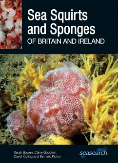 Sea Squirts and Sponges of Britain and Ireland - Bowen, Sarah; Goodwin, Claire; Kipling, David