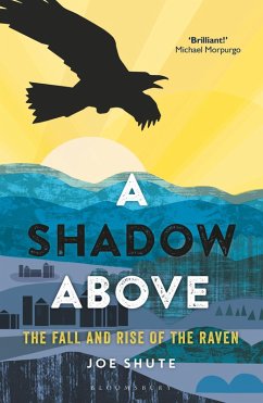 A Shadow Above (eBook, ePUB) - Shute, Joe