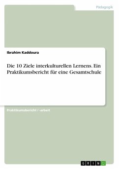 Die 10 Ziele interkulturellen Lernens. Ein Praktikumsbericht für eine Gesamtschule - Kaddoura, Ibrahim