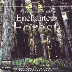 Enchanted Forest - Donenfeld,Howard