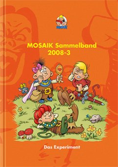 MOSAIK Sammelband - Das Experiment - MOSAIK Team
