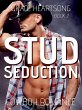 Cowboy Romance: Stud Seduction (Rugged... - Bild 1