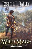 Wild Mage - Water and Stone (Legacy of the Blade, #2) (eBook, ePUB)