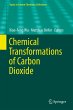 Chemical Transformations of Carbon... - Bild 1