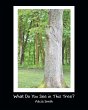 What Do You See in This Tree? - Bild 1