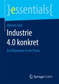 Industrie 4.0 konkret (eBook, PDF)