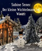 Der kleine Wichtelmann und der Winter (eBook, ePUB)