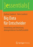 Big Data für Entscheider (eBook, PDF)