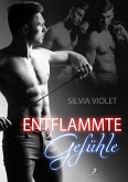 Entflammte Gefühle (eBook, ePUB)