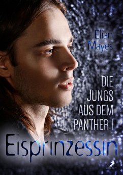 Die Jungs aus dem Panther (eBook, ePUB) - Mayes, Elian