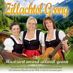 Musiziert Weard Allweil Gearn - Zillachtol Gsong