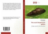 The snail Omphiscola glabra