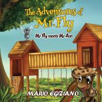 The Adventures of Mr. Fly - Mr Fly Meets Mr Ant