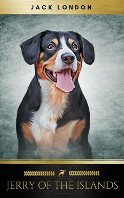 Cover Jerry of the Islands (eBook, ePUB)