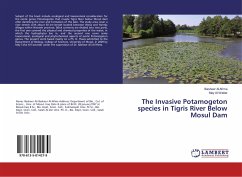 The Invasive Potamogeton species in Tigris River Below Mosul Dam