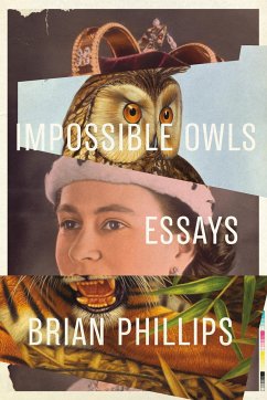 Impossible Owls - Phillips, Brian