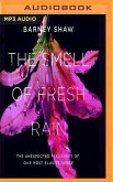 The Smell of Fresh Rain: The Unexpected Pleasures of Our Most Elusive Sense