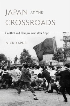 Japan at the Crossroads - Kapur, Nick