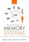 The Evolution of Memory Systems