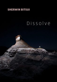 Dissolve - Bitsui, Sherwin