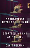 NARRATOLOGY C
