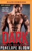 Dark: A Bad Boy Secret Baby Romance