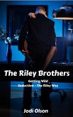 The Riley Brothers (eBook, ePUB)