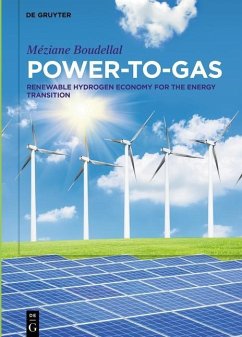 Cover Power-to-Gas (eBook, PDF)
