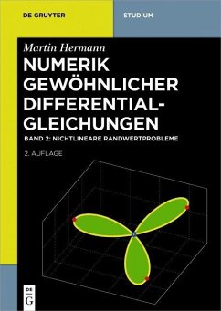 Nichtlineare Randwertprobleme (eBook, PDF) - Hermann, Martin