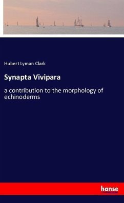 Synapta Vivipara - Clark, Hubert Lyman