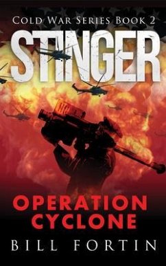 Stinger Operation Cyclone (eBook, ePUB) - Fortin, Bill